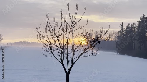 beautiful sundown in rural winter landscape