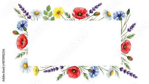 Wild flowers watercolor frame botanical hand drawn illustration