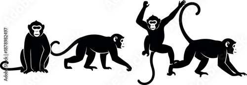 Black and white vector set of monkey silhouettes in various poses including sitting walking and jumping for animal nature design