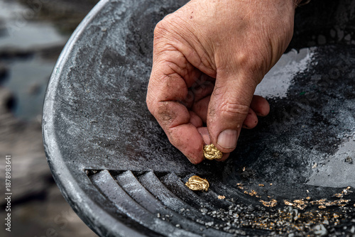 Bilde på lerret Elderly man's hands holding gold sand, small pieces of gold nuggets