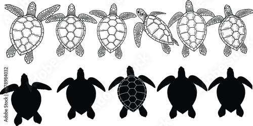 Sea turtle matching puzzle, silhouette and outline comparison, visual discrimination activity, educational game design, flat vector illustration