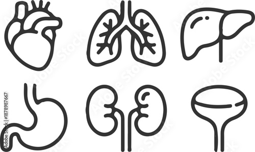 human part body outline icon set vector illustration collection brain lung heart liver kidney stomach 