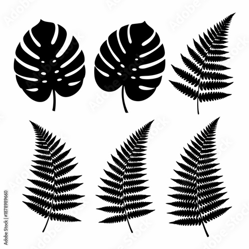 Black silhouettes of Monstera deliciosa and various fern leaves, creating a tropical jungle pattern element set isolated on a white background.