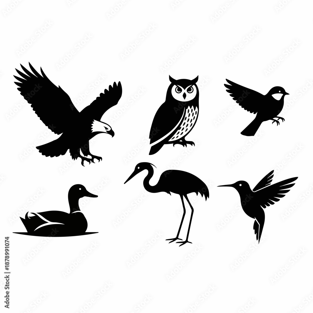 Fototapeta premium Diverse collection of six black bird silhouettes: eagle, owl, duck, heron, hummingbird, and songbird icons for nature, wildlife, or logo design.