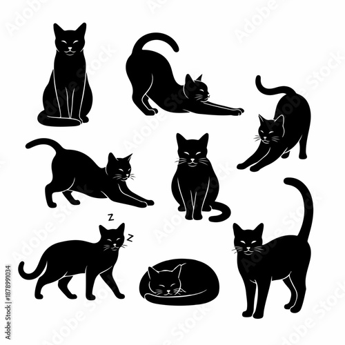 Set of black cat silhouettes in various poses: sitting, stretching, walking, and sleeping. Vector illustration isolated on white.
