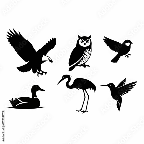 Diverse collection of six black bird silhouettes: eagle, owl, duck, heron, hummingbird, and songbird icons for nature, wildlife, or logo design.