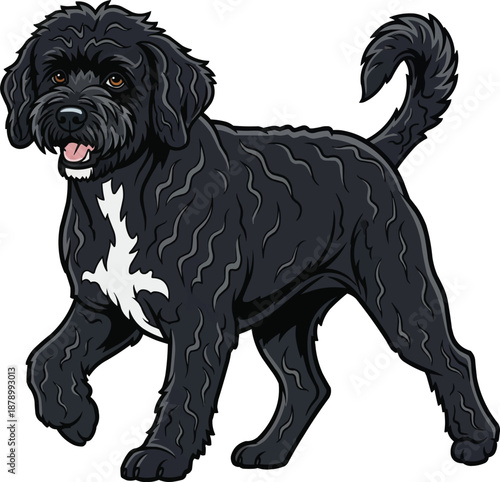 Portuguese Water Dog walking relaxed movement 