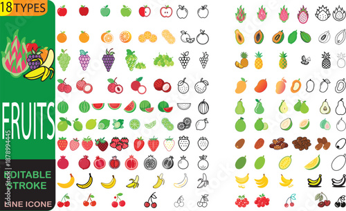  Adobe Illustrator Artwork. A set of fruits of different types, an art collection. Vector isolated Illustration for graphic. Adobe Illustrator Artwork.