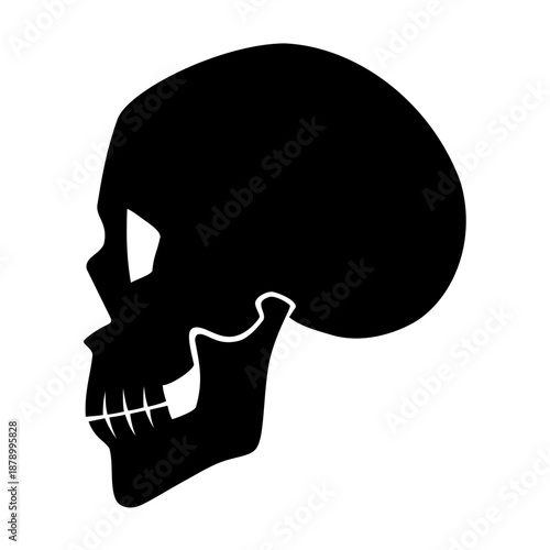 Skull head icon symbol. Vector image