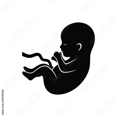 A fetus silhouette vector art illustration