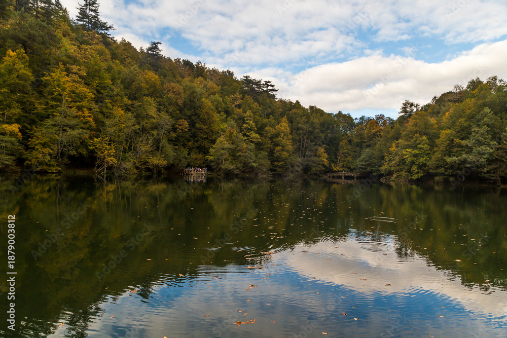 Fototapeta premium Wide view of an autumn forest lake reflecting a blue sky with fluffy white clouds