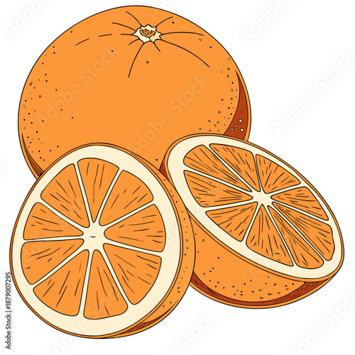 Orange Fruit Whole and Sliced Halves Vector Illustration