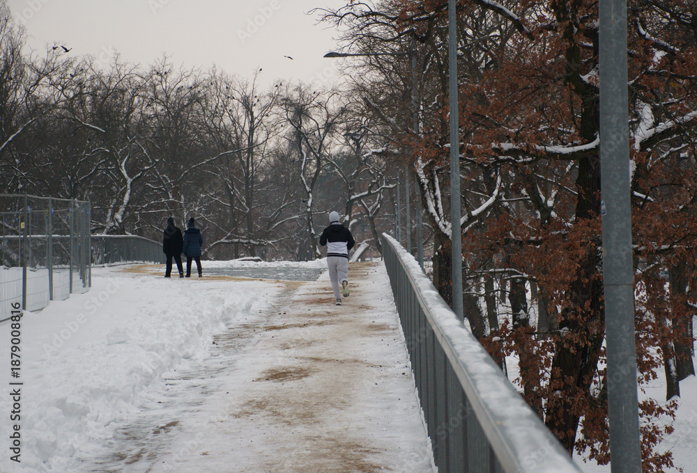 Obraz premium Winter scene with a jogger running along a snowy footpath in an urban park. Cold weather, frost and snow cover the path, trees and landscape. Outdoor fitness and winter running concept in the city.