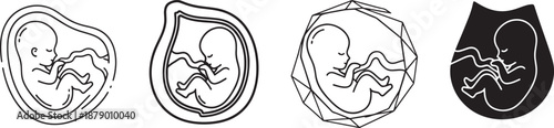 Stylized icons depicting a human fetus in the womb in various graphic designs Vector