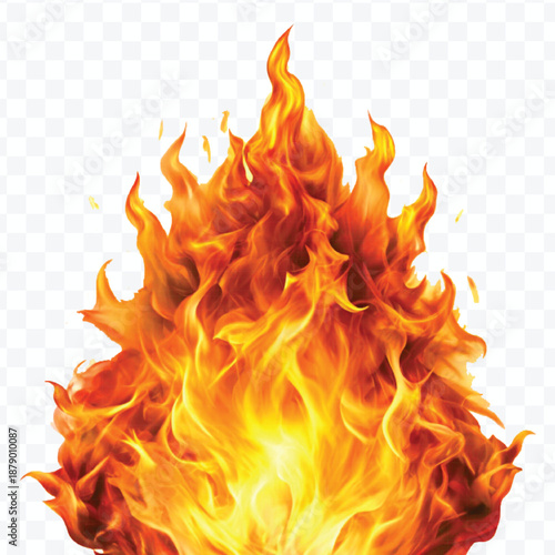 realistic 3d fire flame in curve style isolated on transparent background	