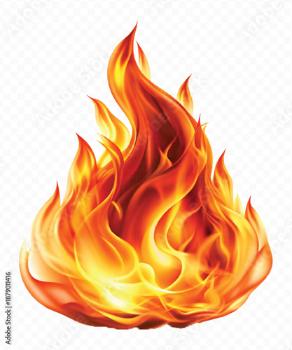 realistic 3d fire flame in curve style isolated on transparent background	