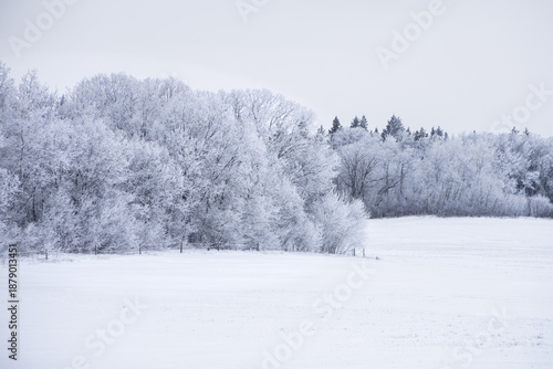 Field in rural winter of Manitoba