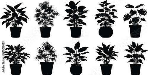 Silhouette of various potted plants on white background