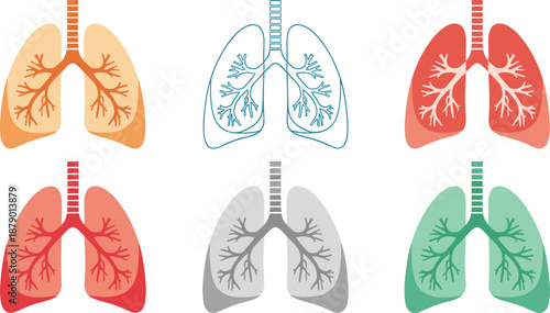Human lung anatomy, colorful respiratory system, bronchial tree detail, medical health concept, flat vector illustration, stylized organ design