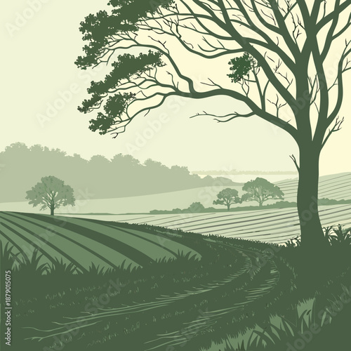 Soft Faded Ripple Field 1