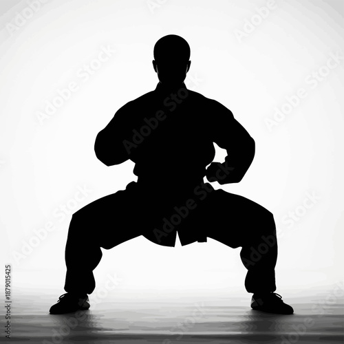 Silhouette of a martial artist in a low stance.
