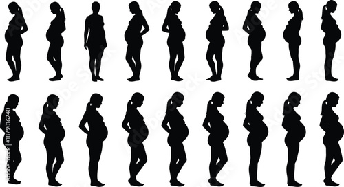 Pregnant woman silhouette set, body posture stages, maternity progression, pregnancy timeline concept, black figures, flat vector illustration