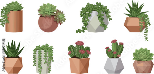 Set of potted succulent and cactus plants, vector illustration collection for home decor, indoor gardening, botanical design, or modern interior, isolated on white.