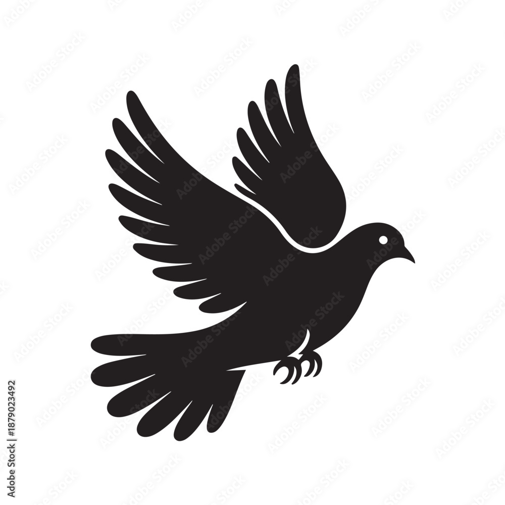 Fototapeta premium Flying dove in mid air with spread wings and white highlight