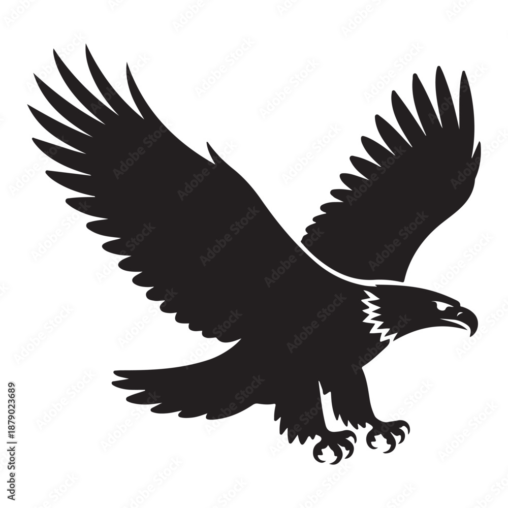 Fototapeta premium Majestic eagle in flight with outstretched wings and sharp talons