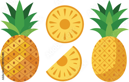 Pineapple Vector Set Tropical Fruit Illustrations in Multiple Styles