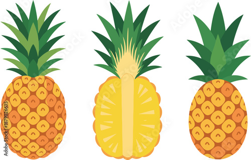 Pineapple Vector Set Tropical Fruit Illustrations in Multiple Styles