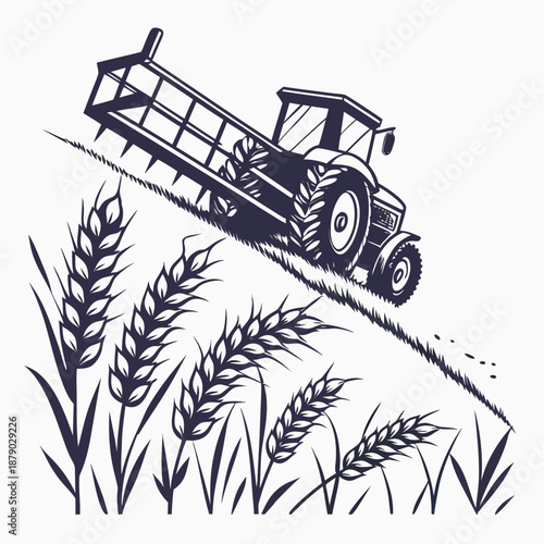 Harvesting wheat with a combine