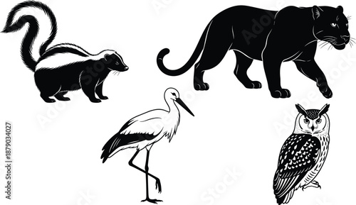 Animal silhouettes illustration, skunk panther stork owl, black and white design, wildlife diversity, nature sketch, biodiversity artwork drawing