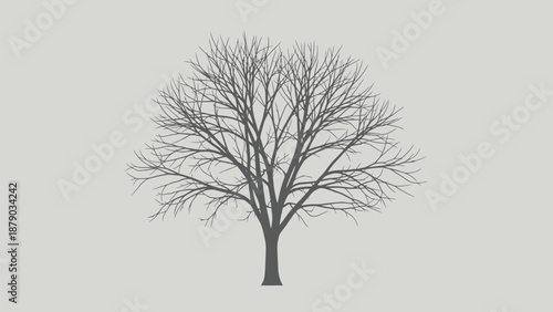 Bare tree silhouette against light gray background