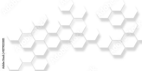 Hexagonal pattern white isolate background, modern abstract white hexagonal geometric pattern,  interconnected shapes creating a textured modern background design.