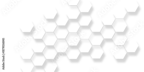Hexagonal pattern white isolate background, modern abstract white hexagonal geometric pattern,  interconnected shapes creating a textured modern background design.