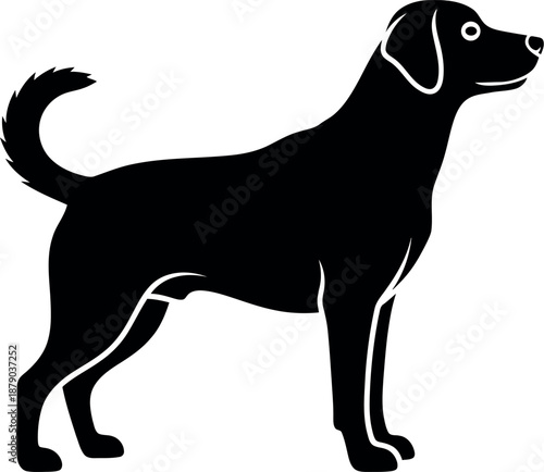 Black dog standing in profile view with tail up and alert expression