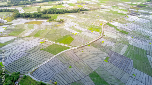 Obraz na plátně Expansive aerial view of traditional rice paddy patterns and winding rural roads in Bajawa, Flores