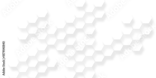 White and light gray hexagon pattern on white, Bright white abstract hexagon wallpaper or background, White hexagon background texture, 3d rendering illustration.