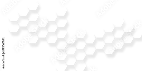 White and light gray hexagon pattern on white, Bright white abstract hexagon wallpaper or background, White hexagon background texture, 3d rendering illustration.