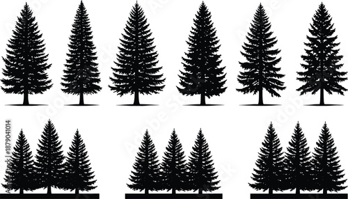 Pine Tree Silhouette Collection Evergreen Forest Fir Spruce Woodland Nature Black Vector Illustration Set