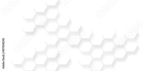 White and light gray hexagon pattern on white, Bright white abstract hexagon wallpaper or background, White hexagon background texture, 3d rendering illustration.