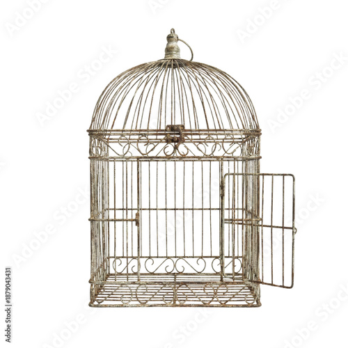 Fényképezés Rusty vintage birdcage with open door isolated