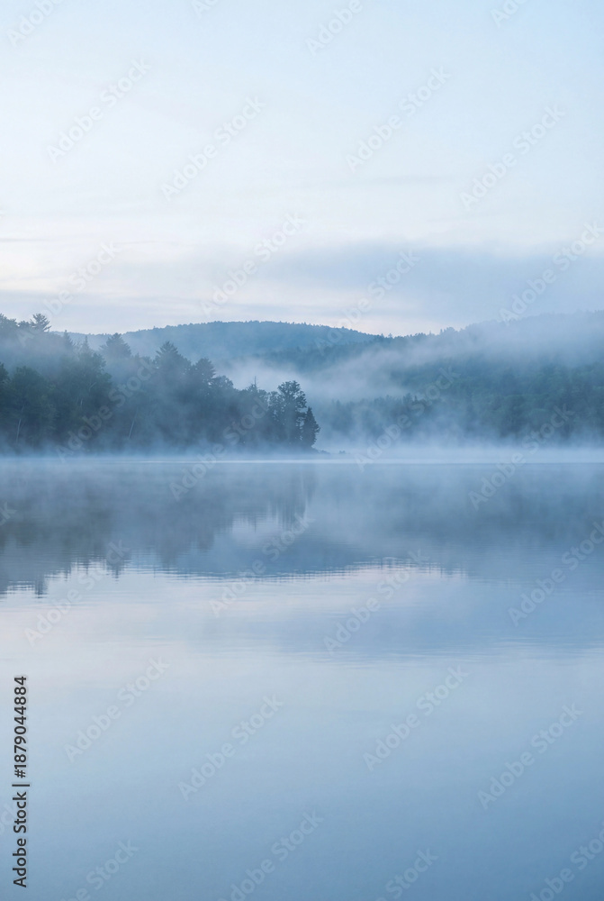 Fototapeta premium foggy lake with forest reflections