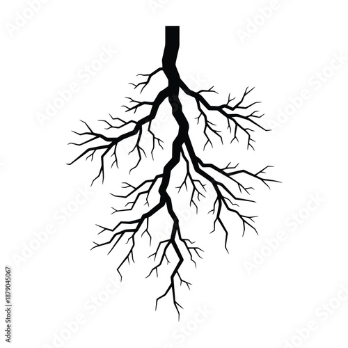 Anatomical illustration of the human bronchial tree in lungs