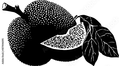 Black and white linocut style illustration of whole and sliced jackfruit with leaves, an exotic tropical fruit graphic