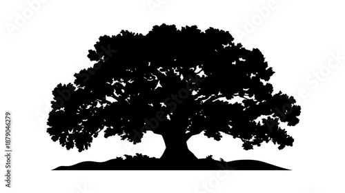 Detailed Black Tree Silhouette Isolated on White Background - Graphic Illustration of a Majestic Deciduous Tree with Full Canopy