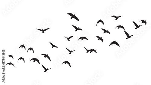 black birds flying in formation