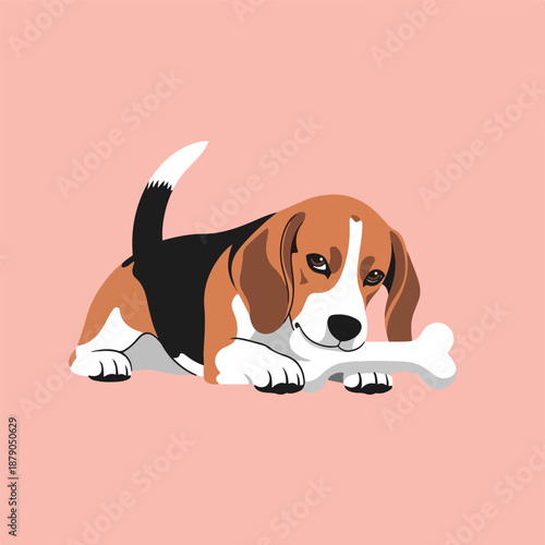 beagle dog with bone