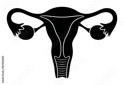 Uterus & Ovaries Silhouette - Minimalist Vector Illustration